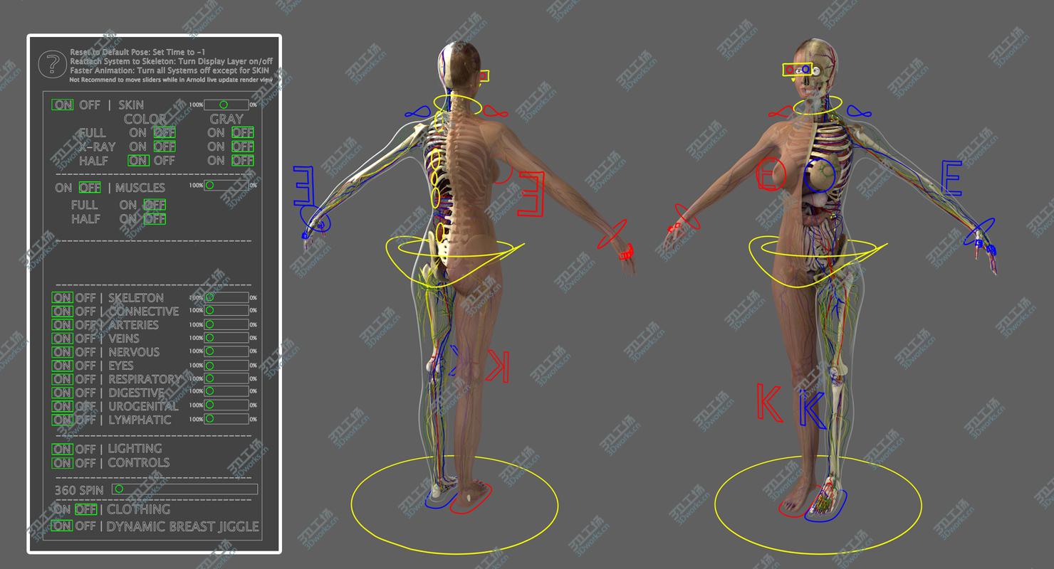 images/goods_img/202104023/Ultimate Complete Rigged Female/3.jpg